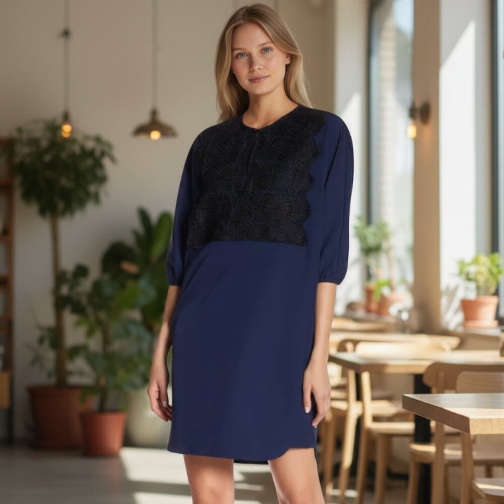 NWT Alton Gray Lace Inset Blouson Sleeve Dress SZ-10 Blue Black